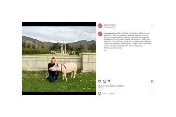 From pork chop to watch designer