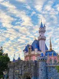 WOMAN ARRESTED AT DISNEYLAND