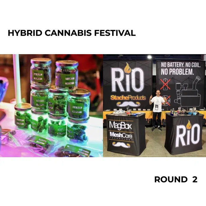 Hybrid Cannabis Festival