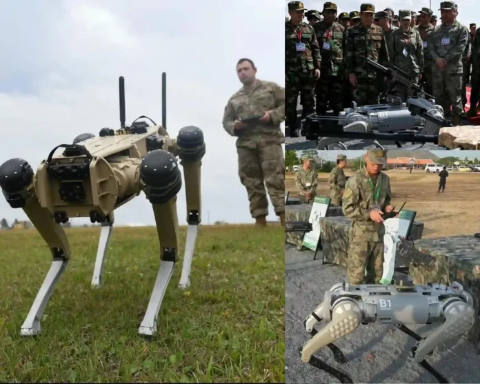 China's military robot war hounds