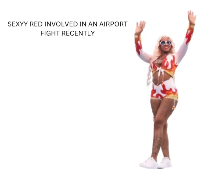 Sexyy Red airport fight video