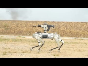 Machine gun-wielding robot dogs China