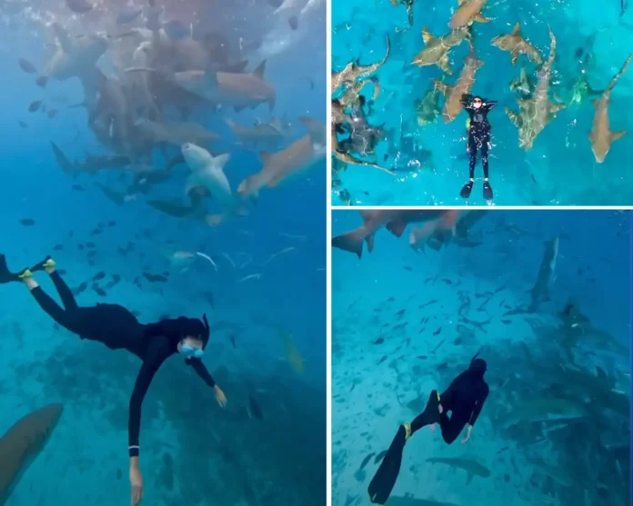 woman conquers fear by swimming with sharks
