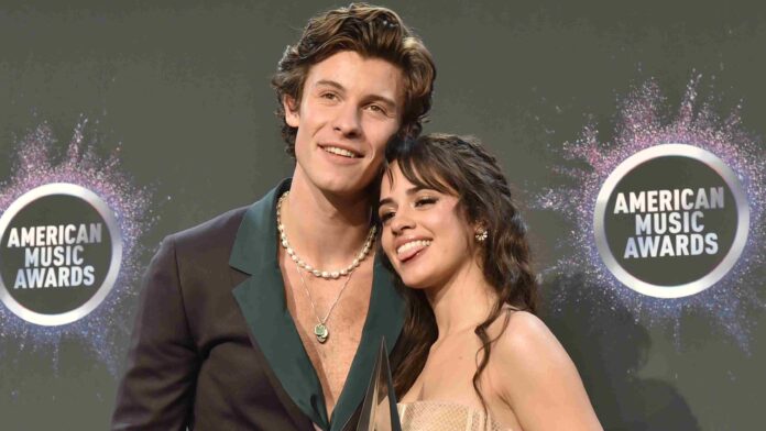 Camila Cabello Shawn Mendes Copa America final sighting