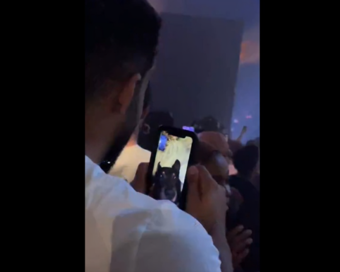 Fan FaceTimes dog during Future concert