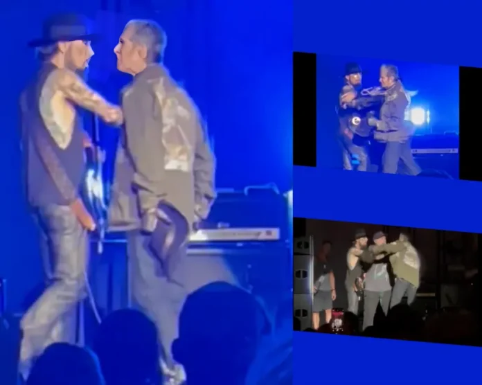 Perry Farrell punches Dave Navarro onstage