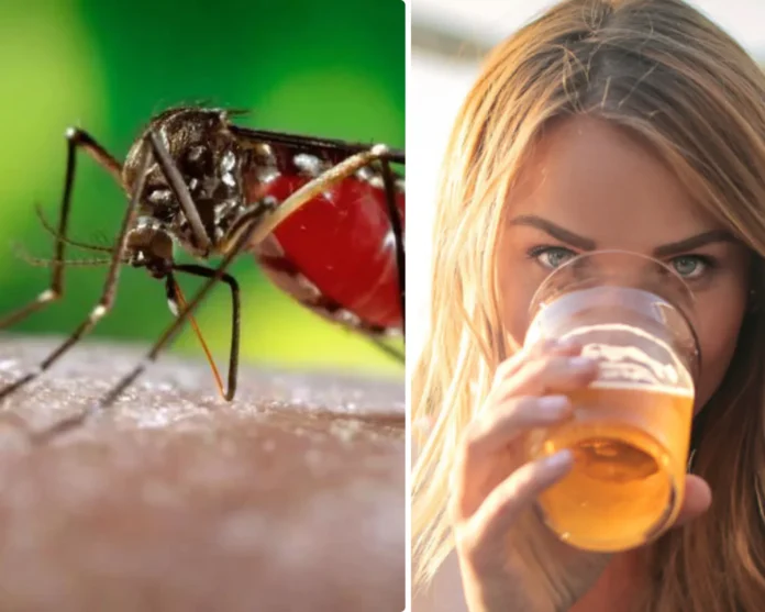 National Geographic: Beer Could Make You More Appealing to Mosquitos