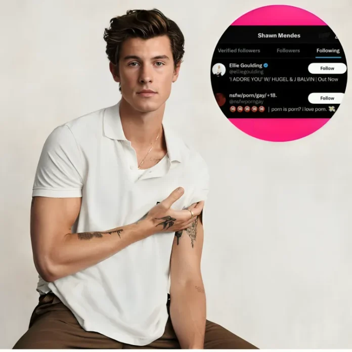 Shawn Mendes followed gay porn account