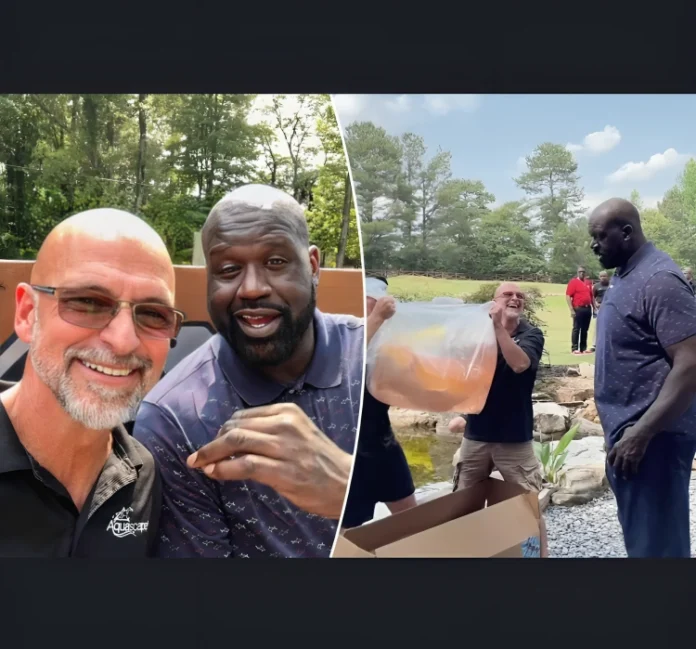 shaq named his pet koi fish charles barkley